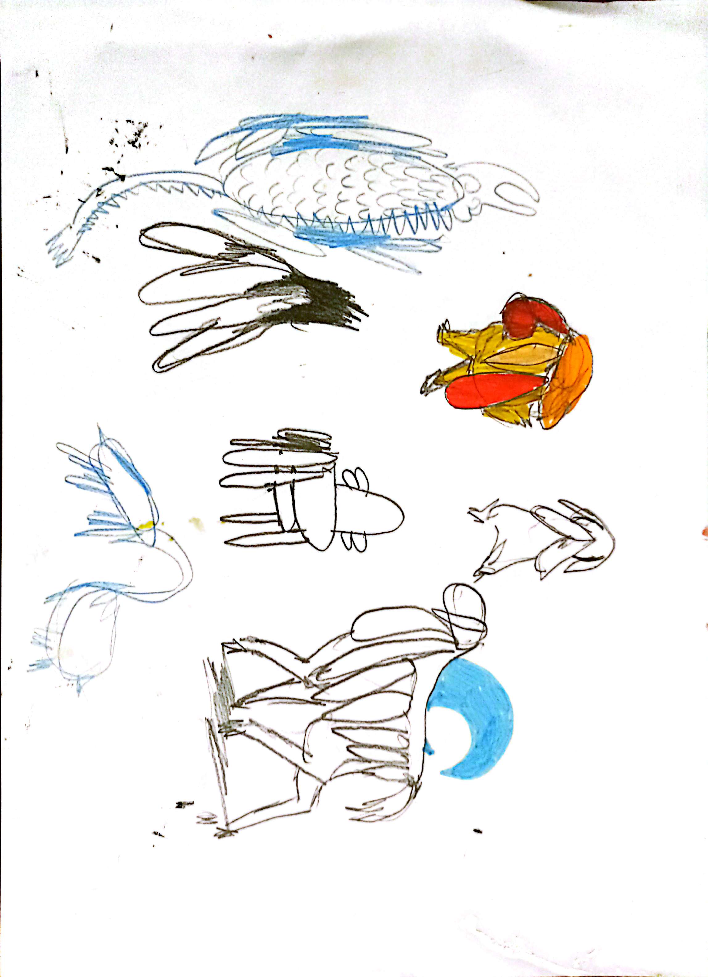 drawings
